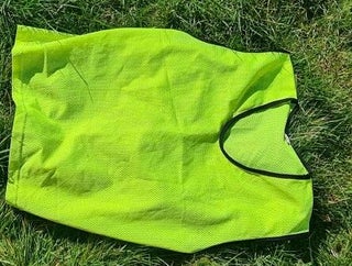 1 adult yellow bib